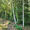 Photo of Mobile Home Lot