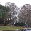 another view