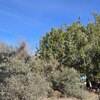 Photo of Mobile Home Lot