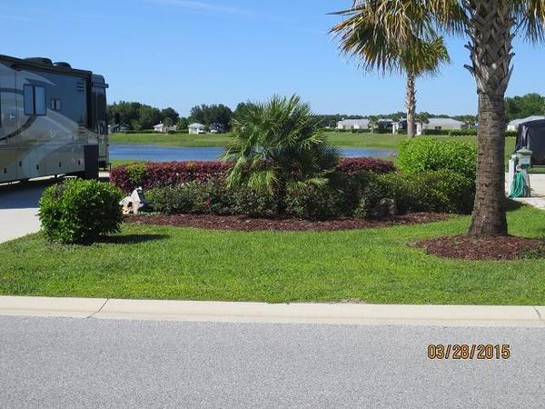 Lot 308 mature landscape