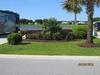 Lot 308 mature landscape