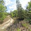 Mobile Home for Sale: 4 Bed 2 Bath 1993 Mobile Home