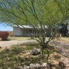 Mobile Home for Sale: Manufactured Home - Congress, AZ, Congress, AZ
