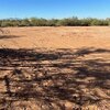 Photo of Mobile Home Lot