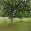 Mobile Home for Sale: 6 Bed 3 Bath 2021 Mobile Home