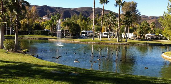 View From the Patio with Wildlife