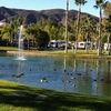 View From the Patio with Wildlife