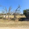 Mobile Home for Sale: 3 Bed 2 Bath 2003 Mobile Home