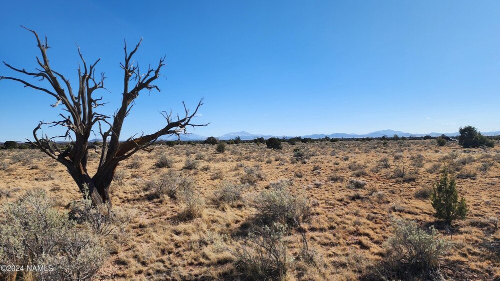 Photo of Mobile Home Lot