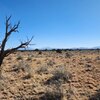 Photo of Mobile Home Lot