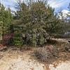 Mobile Home for Sale: 3 Bed 2 Bath 1992 Mobile Home