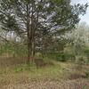 Mobile Home for Sale: 3 Bed 2 Bath 1985 Mobile Home