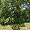 Mobile Home for Sale: 3 Bed 2 Bath 1997 Mobile Home