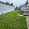 Red Deer Village