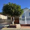 Mobile Home for Sale: 1 Bed 2 Bath 1994 Oak P