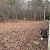 Photo of Mobile Home Lot