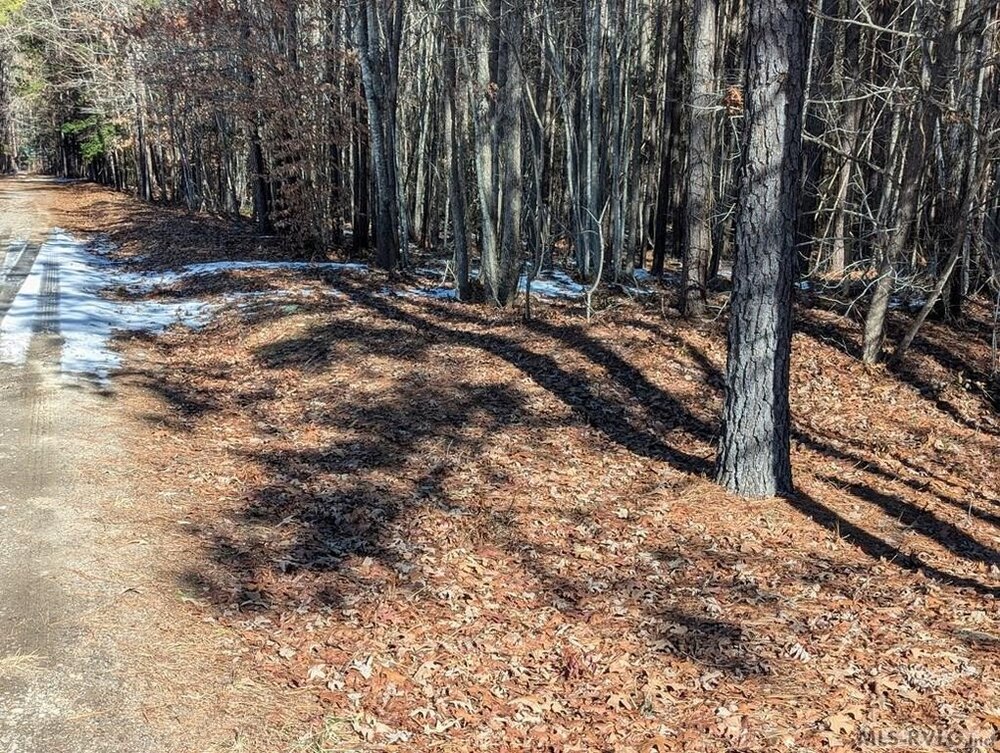 Photo of Mobile Home Lot