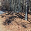 Photo of Mobile Home Lot