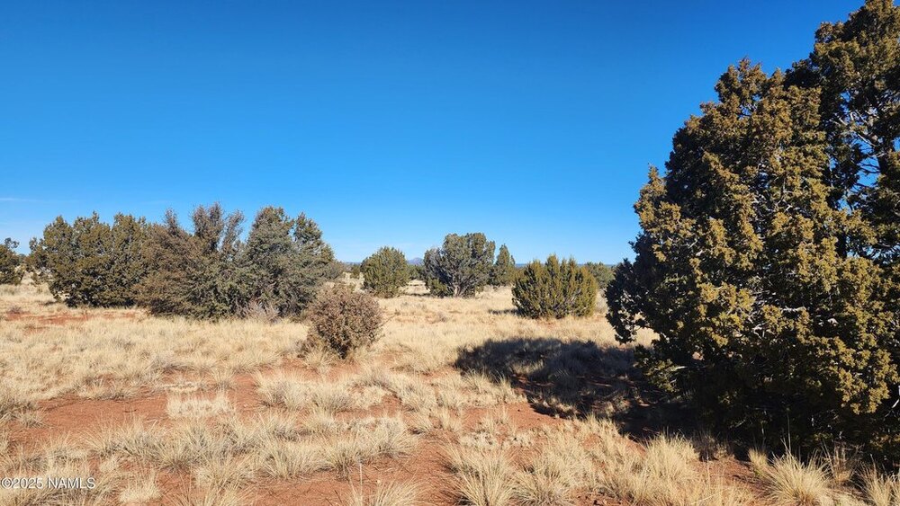 Photo of Mobile Home Lot