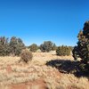 Photo of Mobile Home Lot
