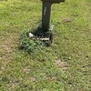 Mobile Home Lot for Sale: Acreage,Residential Lot-Unrestricted,Single Wide Permitted - Pendleton, NC, Pendleton, NC