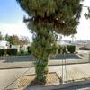 Mobile Home for Sale: 2 Bed 2 Bath Mobile Home