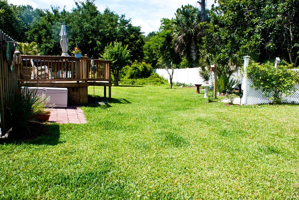 Bear Creek Village