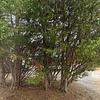 Mobile Home for Sale: 1995 Mobile Home