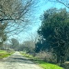 Mobile Home for Sale: Mobile Home
