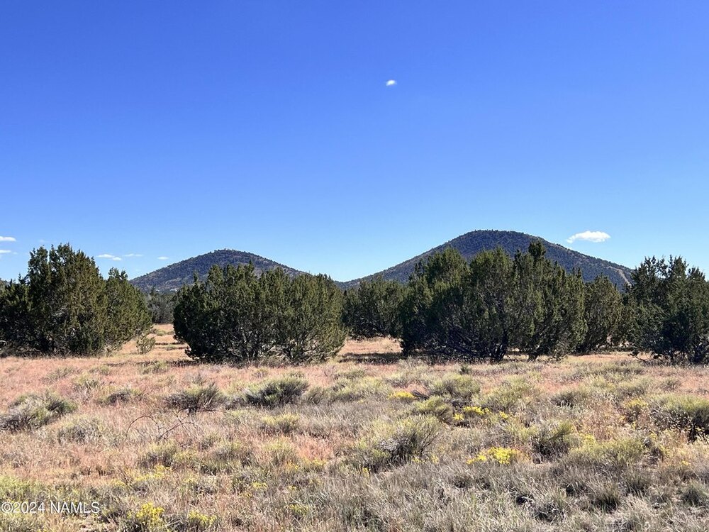 Photo of Mobile Home Lot