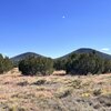 Photo of Mobile Home Lot