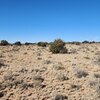 Photo of Mobile Home Lot