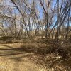 Photo of Mobile Home Lot