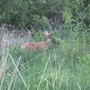 Photo of RV Park/Campground