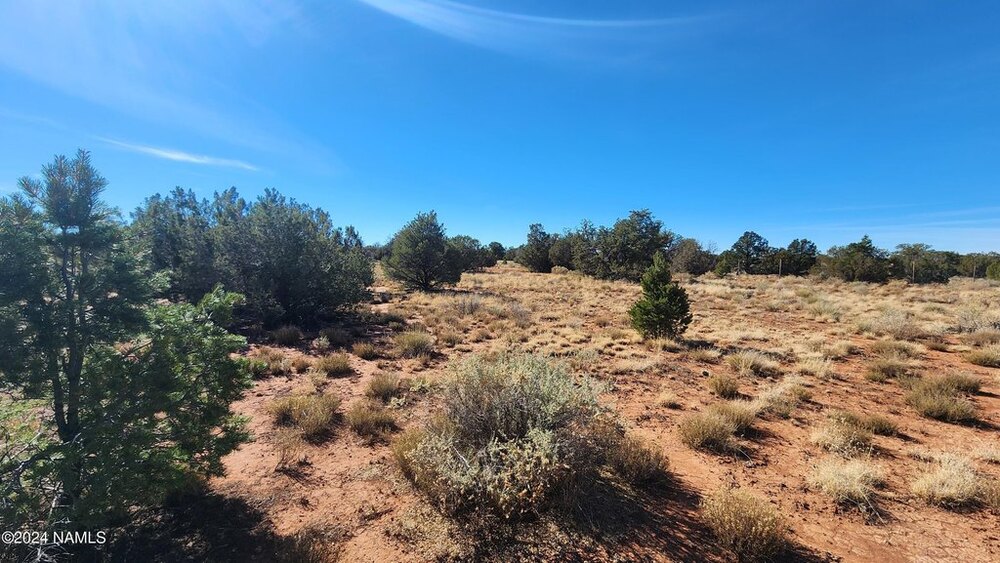 Photo of Mobile Home Lot