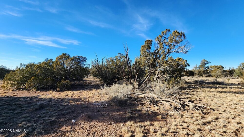 Photo of Mobile Home Lot