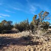 Photo of Mobile Home Lot