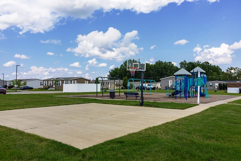 Community Image