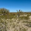 Photo of Mobile Home Lot