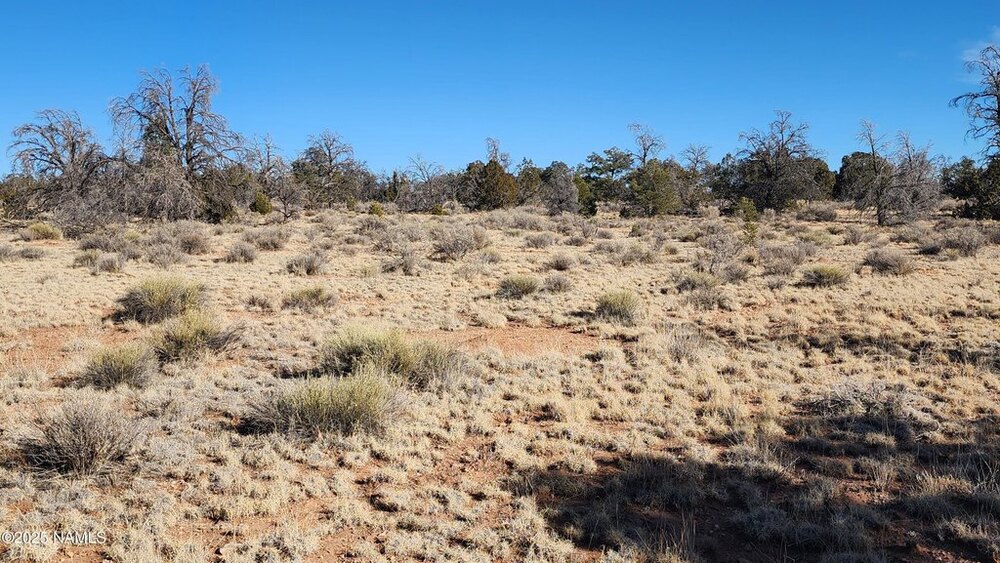 Photo of Mobile Home Lot