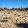 Photo of Mobile Home Lot