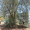 Mobile Home for Sale: 3 Bed 2 Bath 2001 Mobile Home