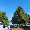 RV Lot for Rent: Spacious Lots with peekaboo Lake Views., Seattle, WA