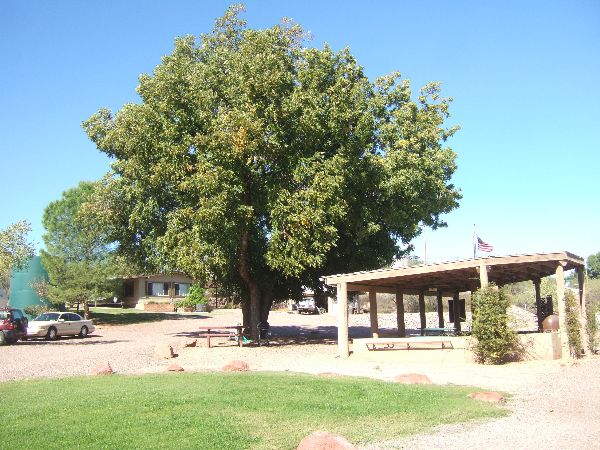 North view