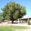North view