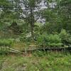 Mobile Home for Sale: 2 Bed 1 Bath 1980 Mobile Home
