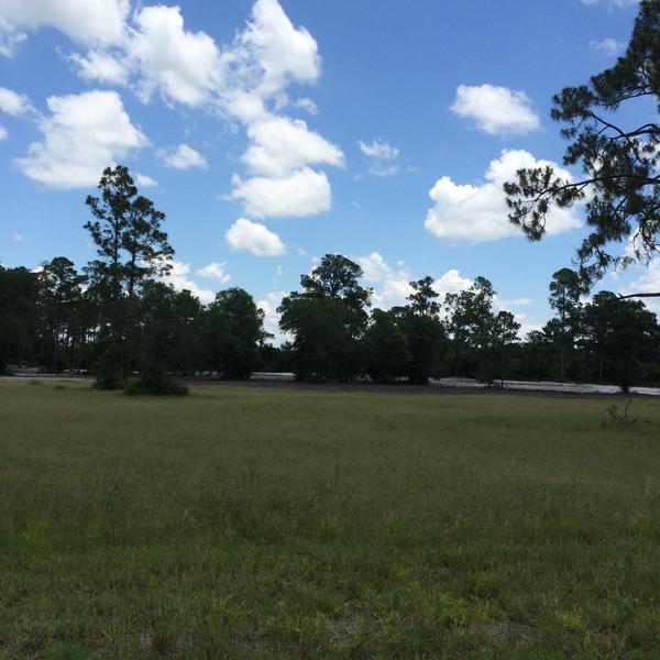 Photo of Mobile Home Park