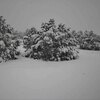 Photo of Mobile Home Lot
