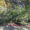 Mobile Home for Sale: 3 Bed 2 Bath 2023 Mobile Home