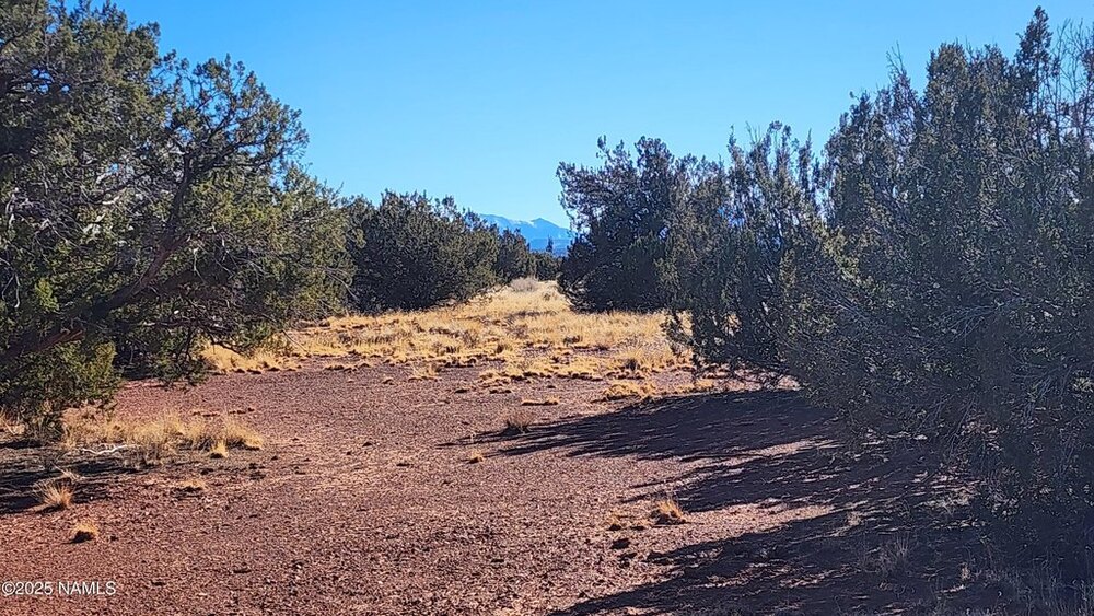 Photo of Mobile Home Lot